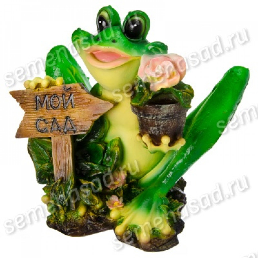 Саженец Лягушка Мой сад
