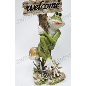 Лягушка на грибе Welcome