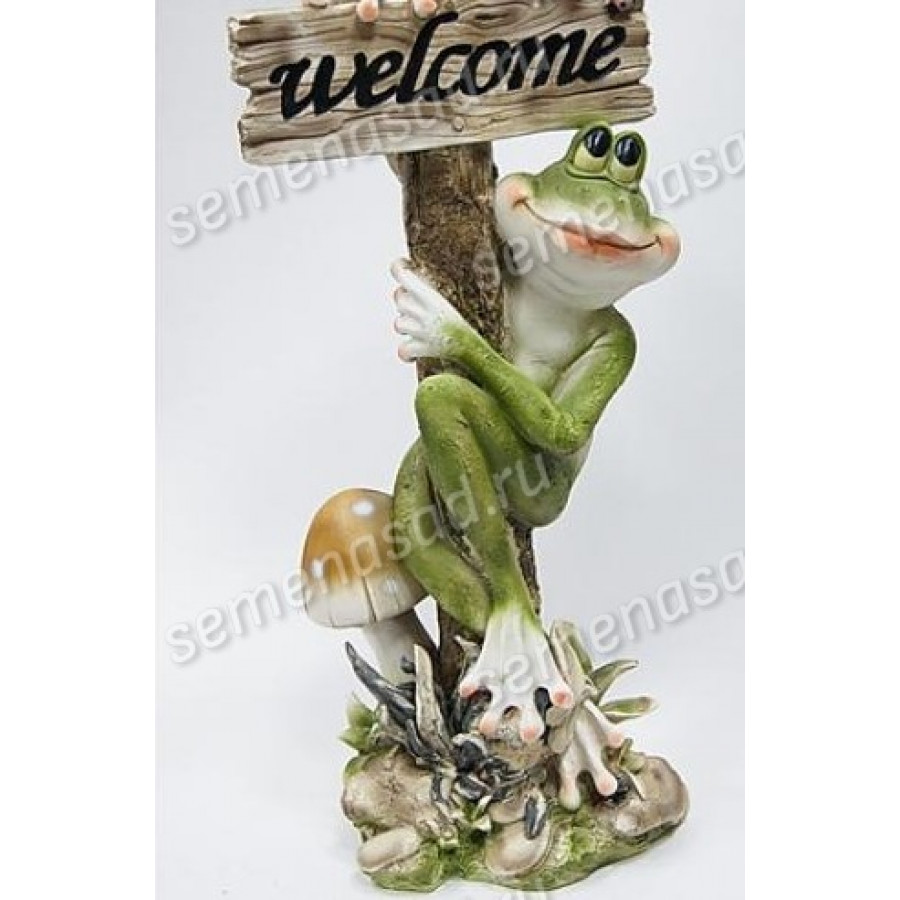 Саженец Лягушка на грибе Welcome