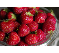 Земляника садовая Кори (Р9)