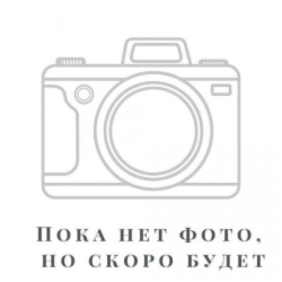 Саженец Роза флорибунда Чайна Гел (C3,5)